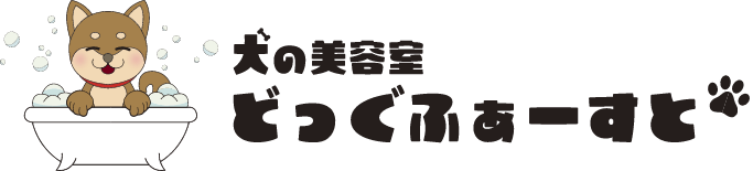 どっぐふぁーすと